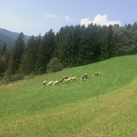 Bauernhof Neges * Obdach